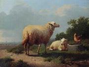 Sheep 163 unknow artist